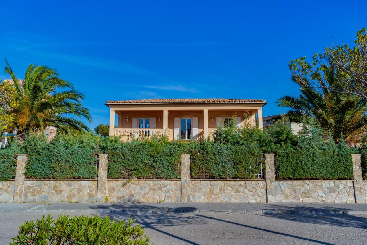 Puerto - Aran Berna Alcudia (Mallorca)